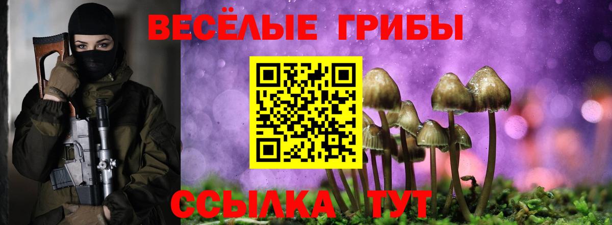 Канаш  Псилоцибиновые грибы Psilocybe  Вход с VPN 
